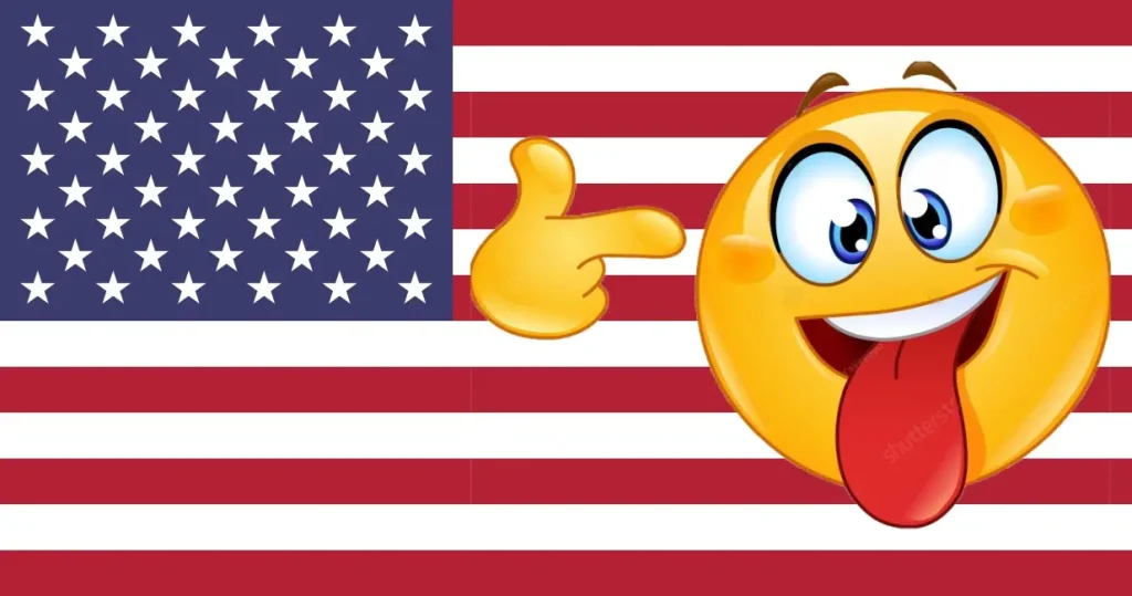 USA idiot flag