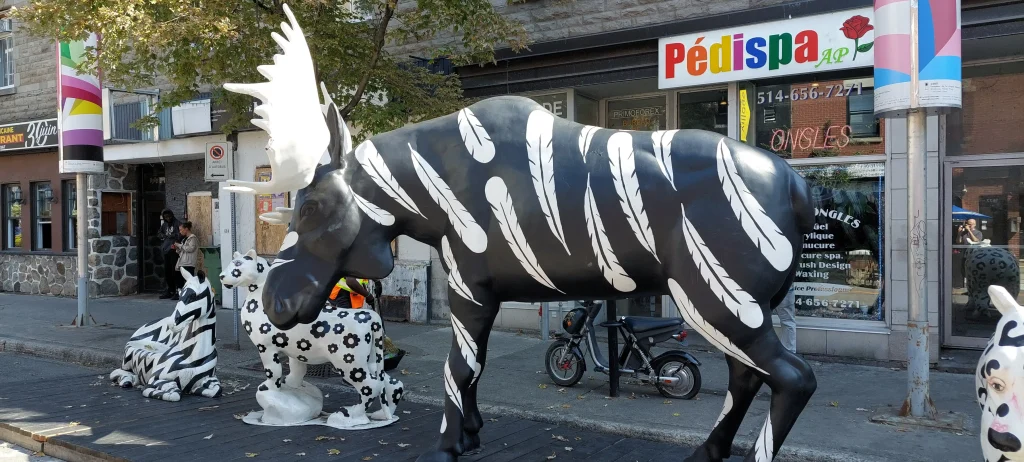 Photo des animaux du Village