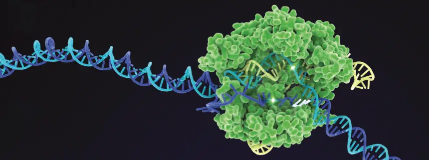 CRISPR