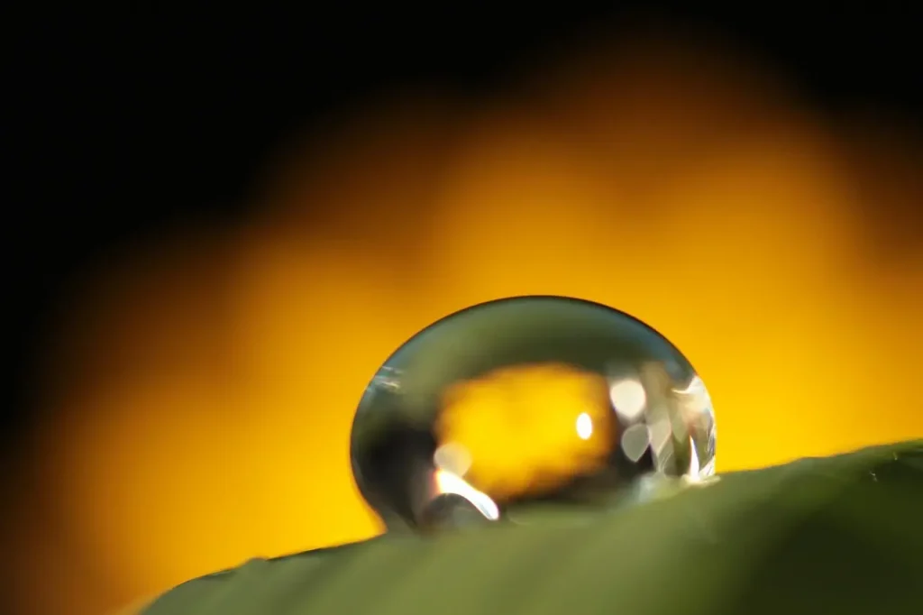 Goutte
