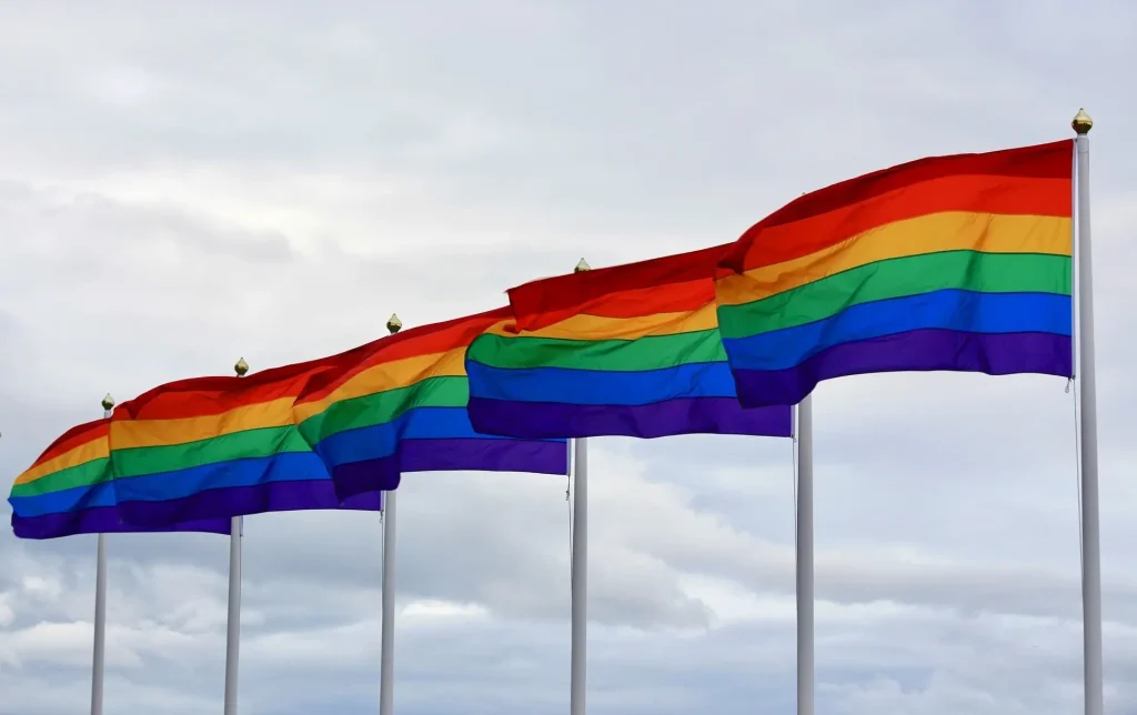 Drapeaux gais