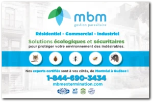 MBM