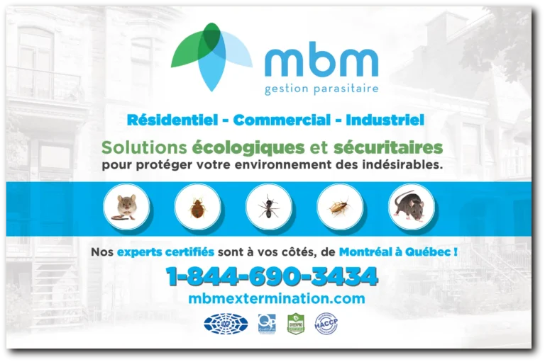 MBM
